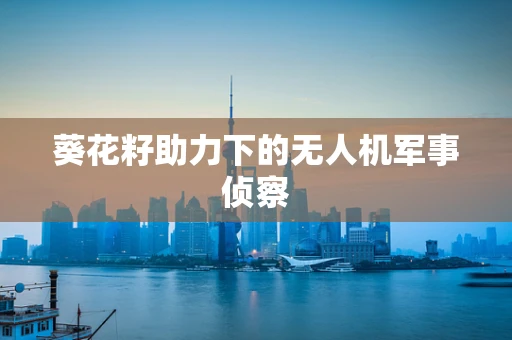 葵花籽助力下的无人机军事侦察