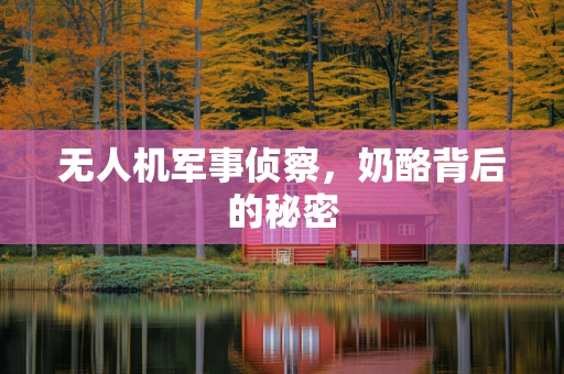 无人机军事侦察，奶酪背后的秘密