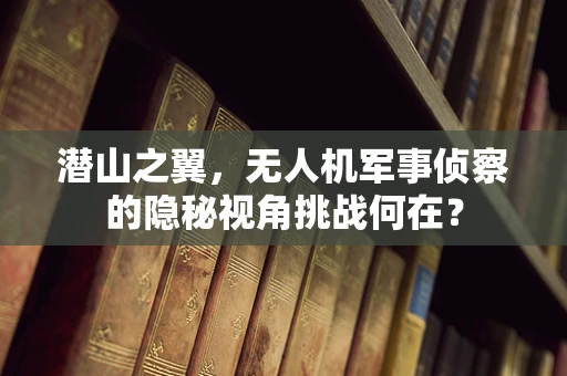 潜山之翼，无人机军事侦察的隐秘视角挑战何在？