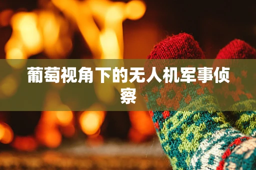 葡萄视角下的无人机军事侦察