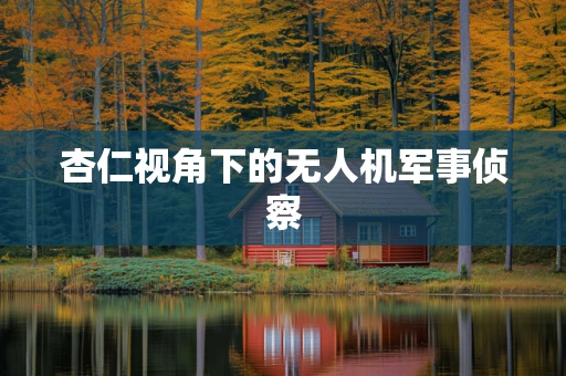 杏仁视角下的无人机军事侦察