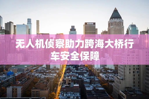 无人机侦察助力跨海大桥行车安全保障