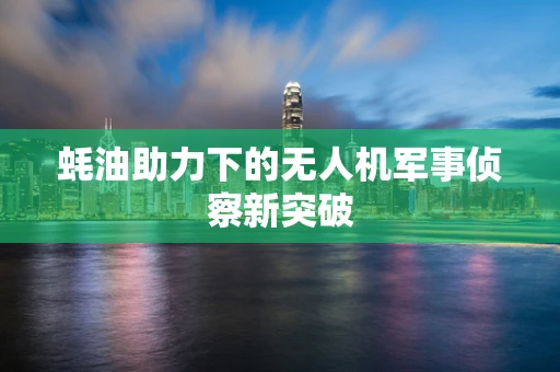 蚝油助力下的无人机军事侦察新突破